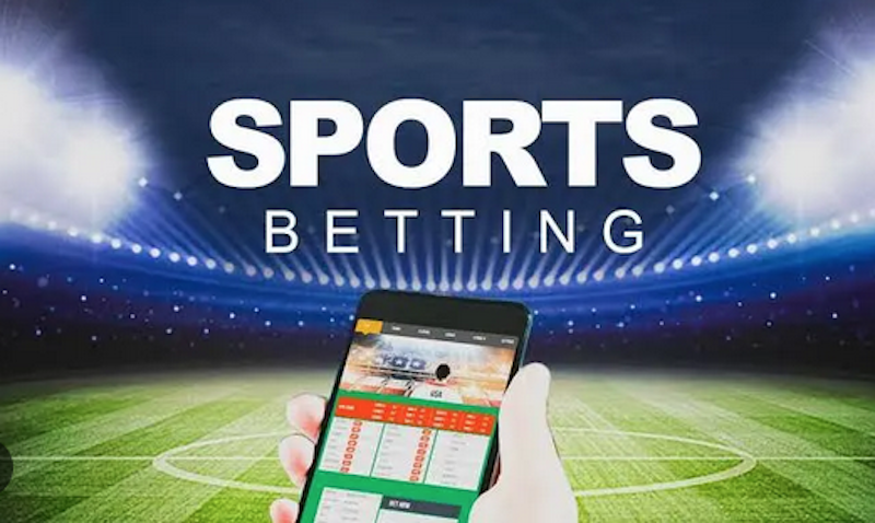 Descoperă Lumea Fascinantă a 32Rosu Casino 16