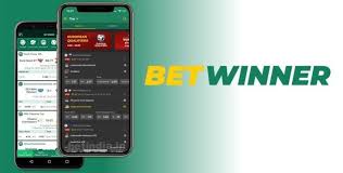Everything You Need to Know About BetWinner Sports Betting